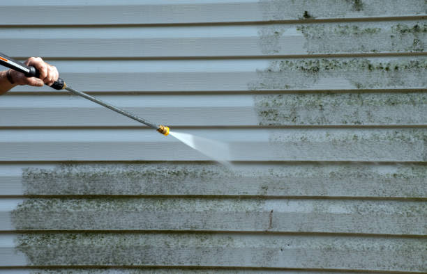 Best Gutter Cleaning  in Danville, PA